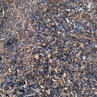 Doonan Sand & Gravel Product Tree Mulch